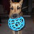 :icon7blondeone7: