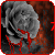 :icon7bloody-black-roses: