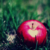 :icon7dd5d1: