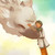:icon7even-ing: