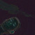 :icon7h9tj4: