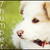:icon7hump3r: