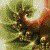 :icon7sunshine: