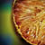 :icon7tharne: