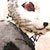 :icon7x7chan: