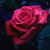 :icon7xonnel7: