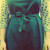 :icon82hannah: