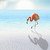 :icon872573018: