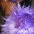 :icon88shin88: