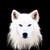 :icon88whitewolf88: