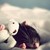 :icon8-20-am: