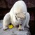 :icon8axeldimentioespada4: