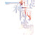 :icon8livine: