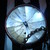:icon8Maju8: