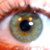 :icon8thhouse: