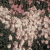 :icon90-18427459283928384: