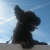 :icon910926: