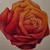 :icon921069: