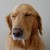 :icon93dreams: