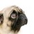 :icon93kt93: