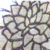:icon96nipah: