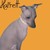 :icon986273emowolf986273: