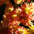 :icon999splitsoul: