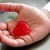 :icon9amt: