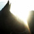 :icon9filip3:
