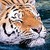 :icon9masumi9: