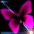 :icon9nao6: