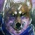 :icon9tails9: