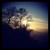 :icon9xxstargazerxx3: