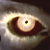 :icon--halo--: