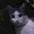 :icon-angel: