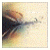 :icon-blackscarling-: