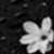 :icon-jesse-: