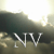 :icon-newvision-: