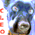 :icon-wolfhusky-: