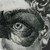 :icona121116: