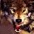 :icona1darkstar: