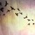 :icona1ph0nse: