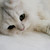 :icona2890105: