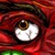 :icona-bertio: