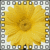 :icona-dash-of-sun: