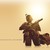 :icona-fiddling-snail: