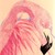:icona-lack-of-rainbows: