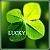 :icona-little-thing: