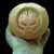 :icona-lot-like-me: