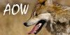 :icona-o-w: